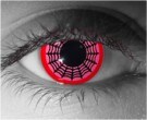 Spidey