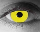Zombie Yellow