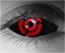 Hatake (Sclera)