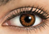 FreshLook ColorBlends Honey Contact Lens Detail